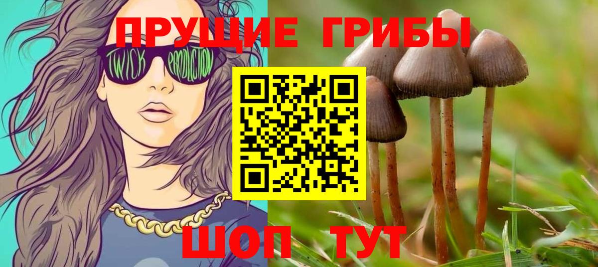 Псилоцибиновые грибы ЛСД  Вход с VPN  Псилоцибиновые грибы Cubensis  Соль-Илецк 
